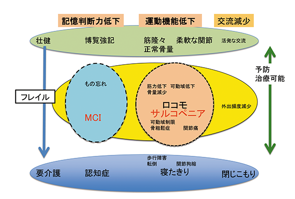 高齢者の心身の自立を妨げる要因 図