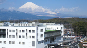 Makoeop